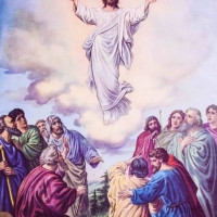 Tranh Dán Tường Tôn Giáo Tienphatdecor Tg77 Tranh Dán Tường Tôn Giáo Tienphatdecor Tg77