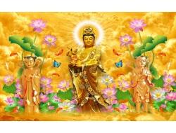 Tranh Dán Tường Tôn Giáo Tienphatdecor Tg58