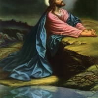 Tranh Dán Tường Tôn Giáo Tienphatdecor Tg66