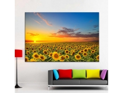 Tranh Dán Tường Tranh Treo Tường 3D TB203 Tranh Dán Tường Tranh Treo Tường 3D TB203