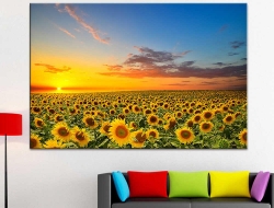 Tranh Dán Tường Tranh Treo Tường 3D TB203